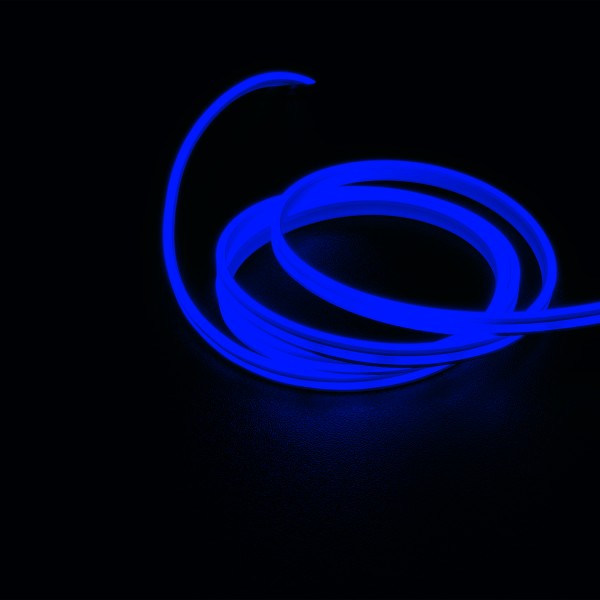 NeoVision Mini